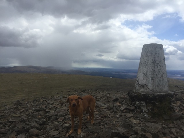 Day 3 – To Tarbet, Loch&nbsp;Lomond