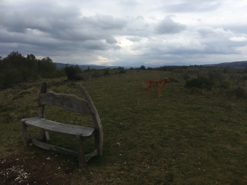 Day 1 – To&nbsp;Witherslack