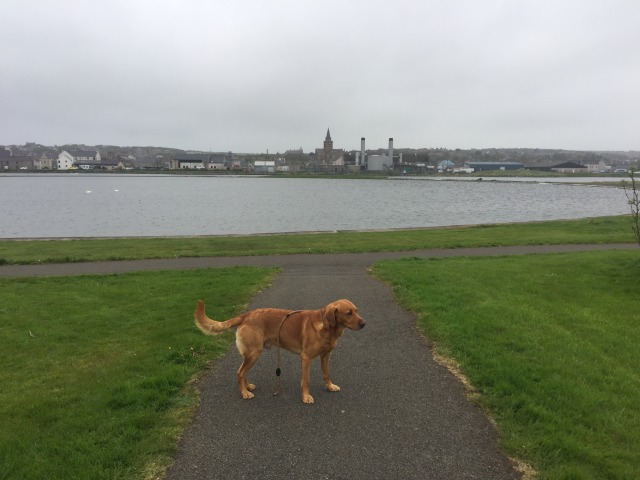 Day 31 – To&nbsp;Kirkwall