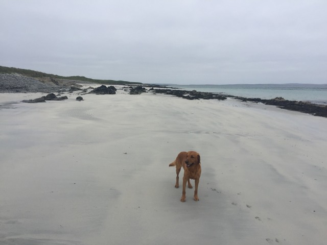 Day 33 – Egilsay – Part&nbsp;Two