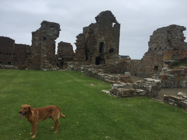 Day 32 – Part Two&nbsp;(Birsay)