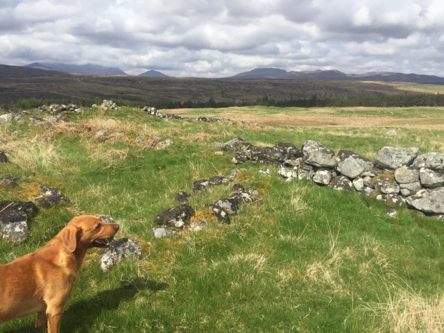 Day 30 – To&nbsp;Scrabster