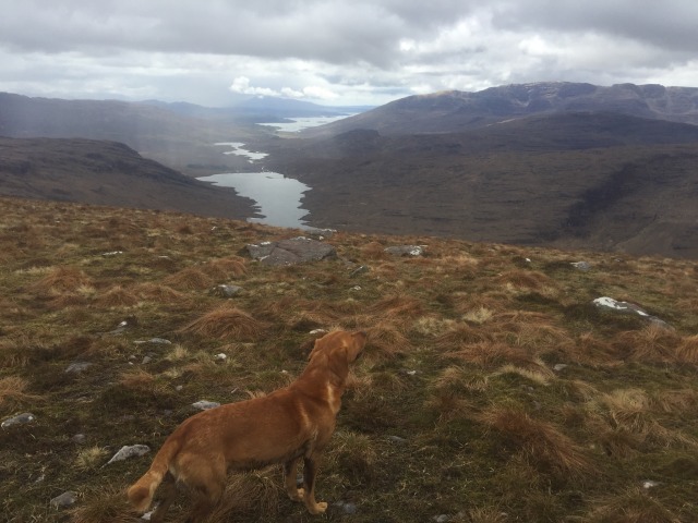 Day 23 – To Loch Diabaig,&nbsp;Torridon