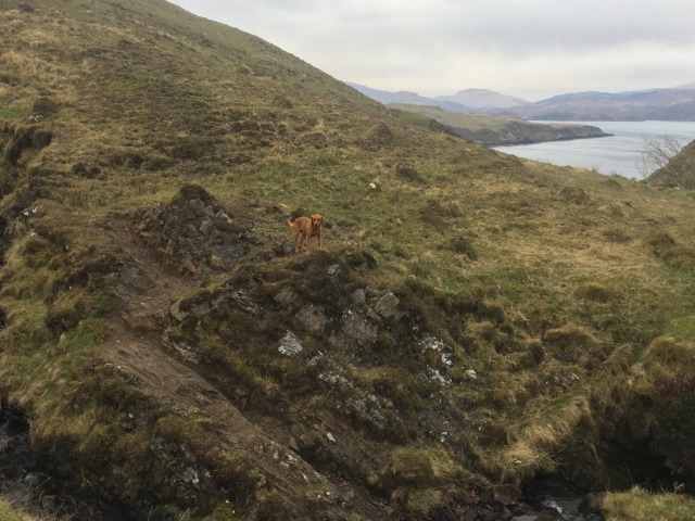 Day 12 – To&nbsp;Glenuig