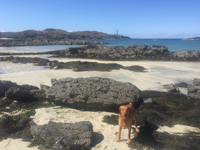 Day 11 – at Kilchoan,&nbsp;Ardnamurchan