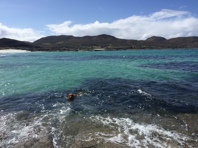 Day 10 – At Kilchoan,&nbsp;Ardnamurchan