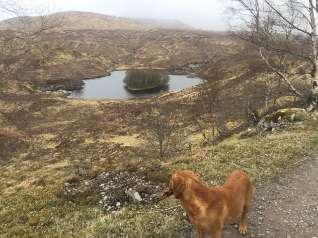 Day 8 – to&nbsp;Ardgour