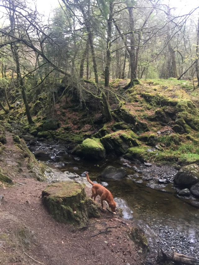 Day 7 – to&nbsp;Kinlochleven