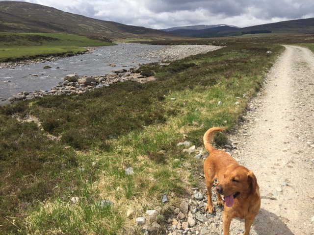 Day 44 – At&nbsp;Braemar