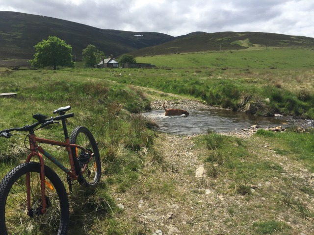 Day 42 – At&nbsp;Tomintoul