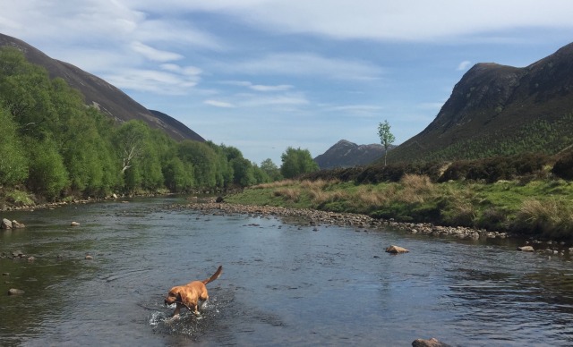 Day 39 – To Culbokie, Black&nbsp;Isle