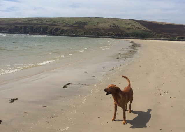 Day 38 – To Bonar&nbsp;Bridge