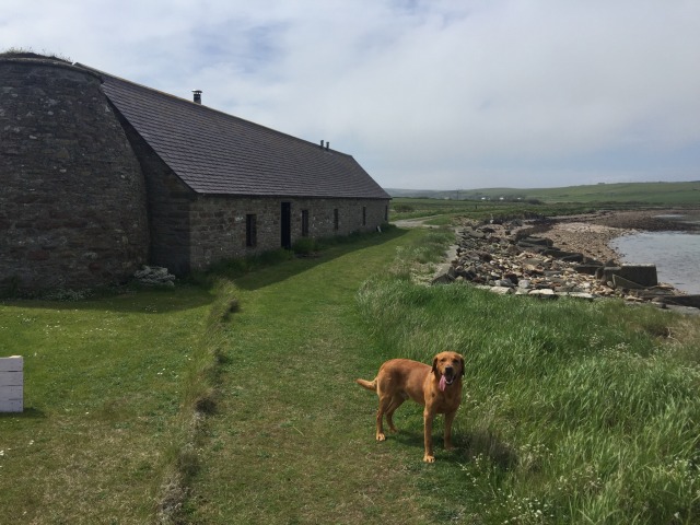 Day 36 – Hoxa Hill & St Margaret’s&nbsp;Hope