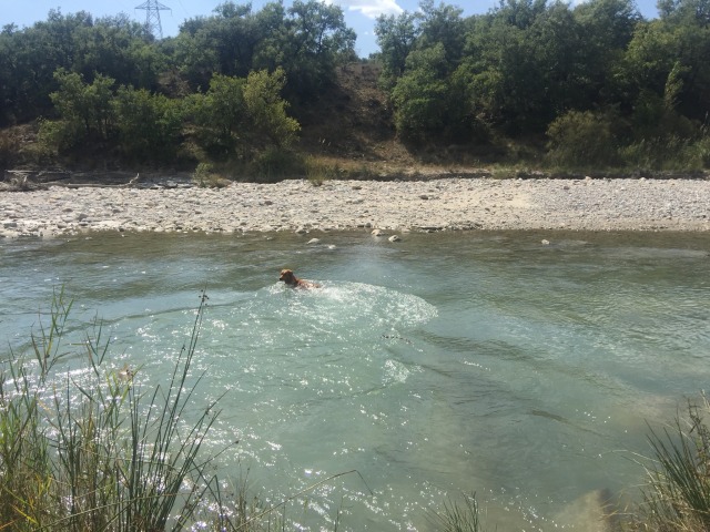 Day 4 – To Col&nbsp;d’Ares