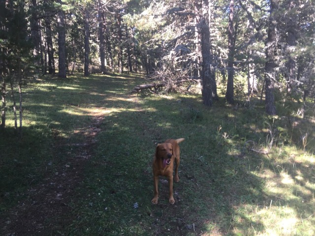 Day 7 – at&nbsp;Valdelinares