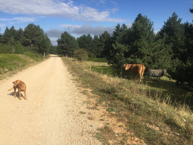 Day 6 – At&nbsp;Valdelinares