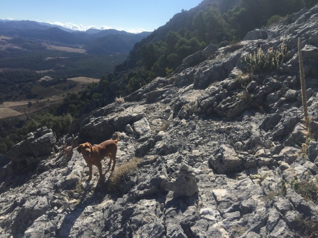 Day 54 – at&nbsp;Grazalema