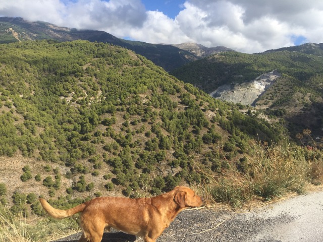 Day 50 – to Canillas de&nbsp;Albaida