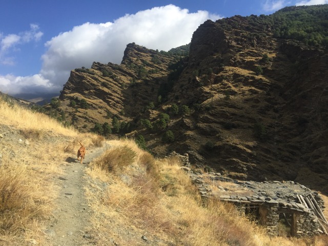 Day 48 – to&nbsp;Bérchules