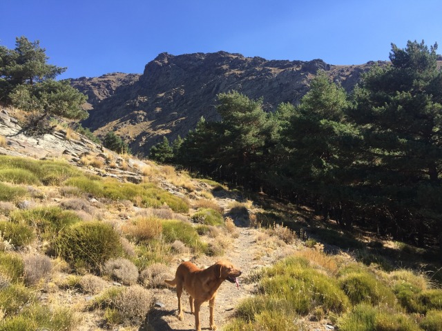 Day 47 – at&nbsp;Trevélez