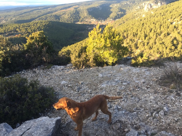 Day 85 – to Vandenesse-en-Auxois (aire on&nbsp;A6)