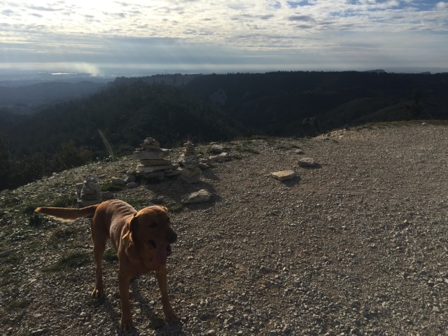 Day 80 – to&nbsp;Eygalières