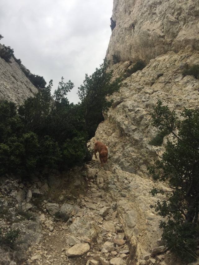 Day 81 – at&nbsp;Eygalières