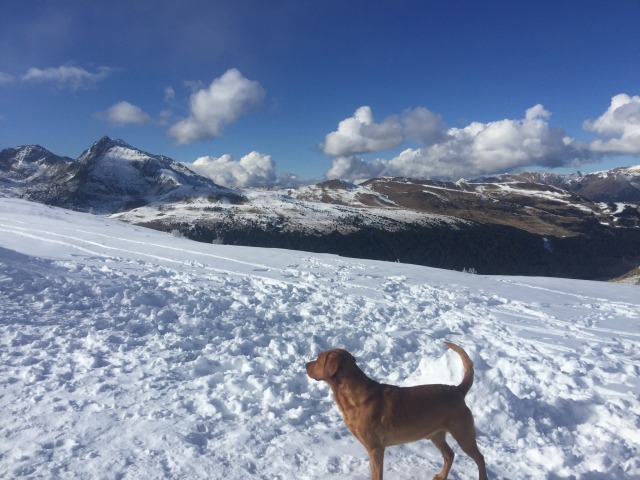 Day 79 – to Capestang&nbsp;(France)