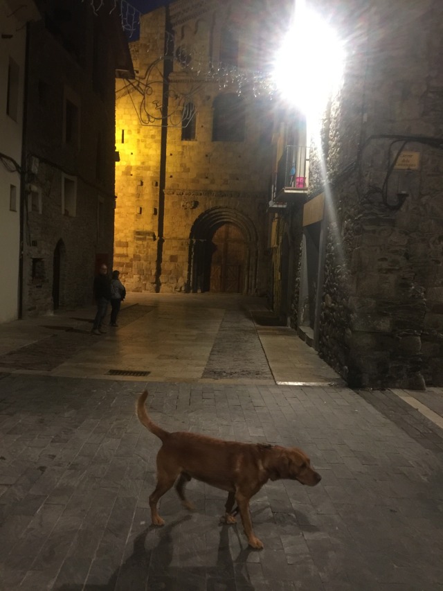 Day 78 – to La Seu&nbsp;d’Urgell