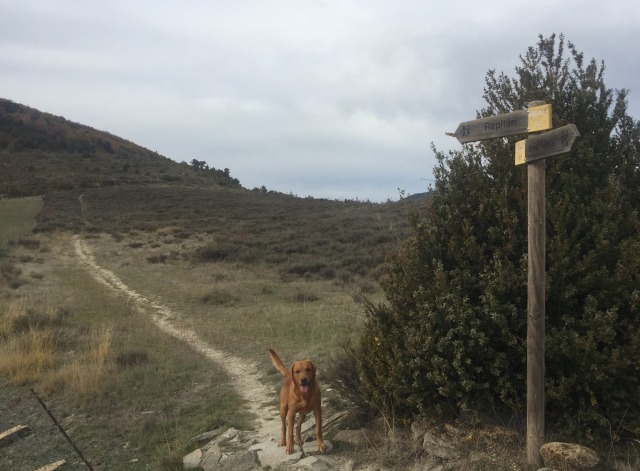 Day 77 – to&nbsp;Jaca