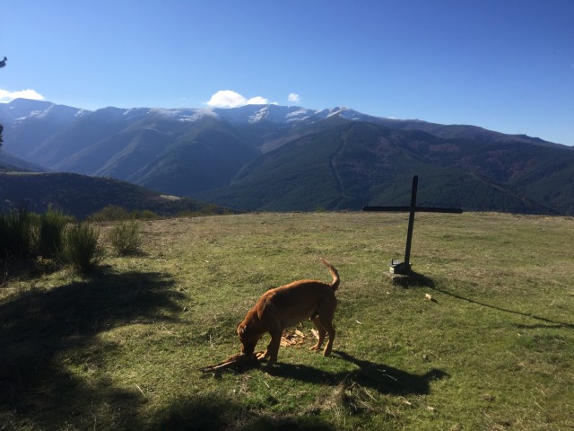 Day 76 – to wastelands, 25k south east&nbsp;Pamplona