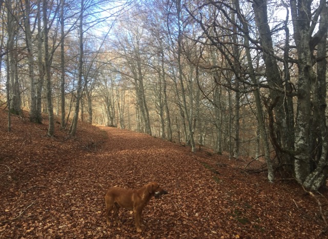 Day 75 – to&nbsp;Alarcia