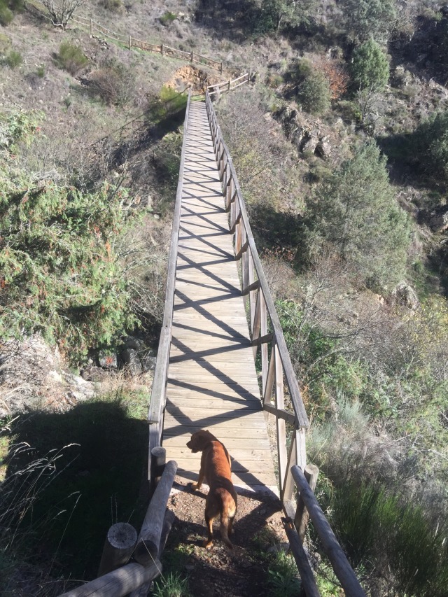 Day 74 – to&nbsp;Fuentecén