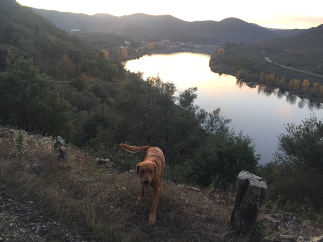 Day 72 – to Barca de Alva (actually across the bridge in Spain) – part two