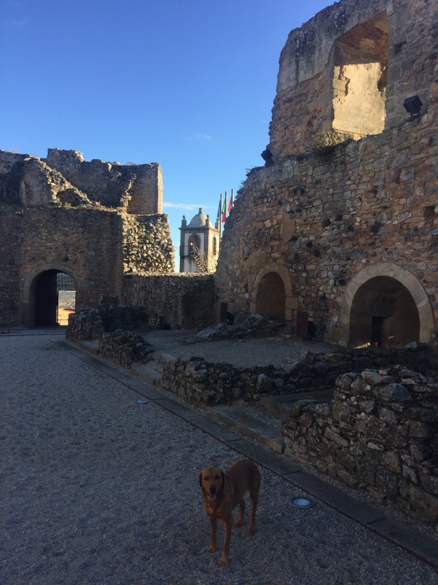 Day 72 – to Barca de Alva (actually across the bridge in&nbsp;Spain)