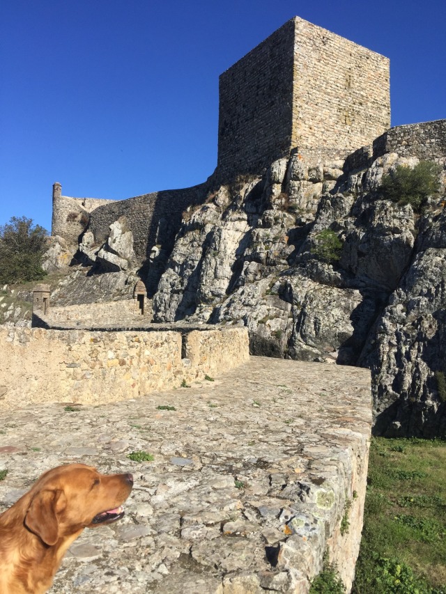 Day 65 – to&nbsp;Beirã