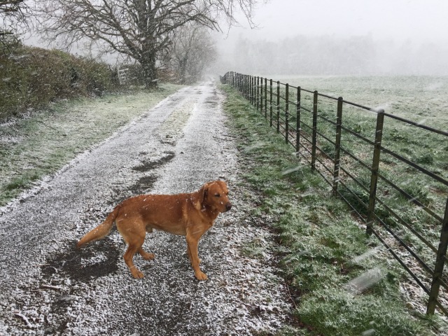 Day 2 – to Nevene,&nbsp;Belgium