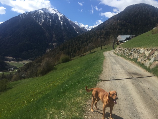 Day 29 – to Wildgehegge, Stilfs&nbsp;Dorf