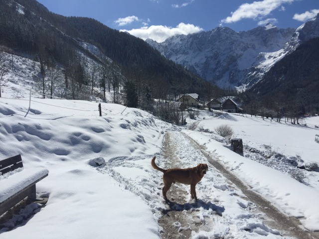 Day 12 – at Jezersko (snowed in..)