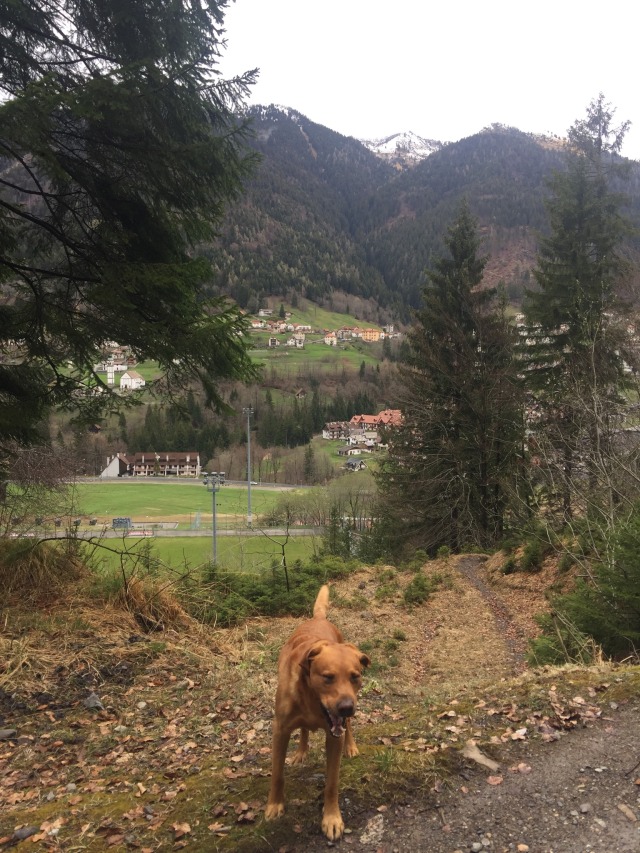 Day 26 – part 2&nbsp;–