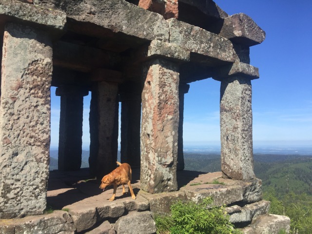 Day 46 – to&nbsp;Saint-Quirin