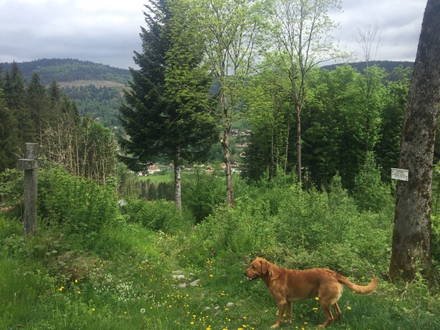 Day 45 – to&nbsp;Donon