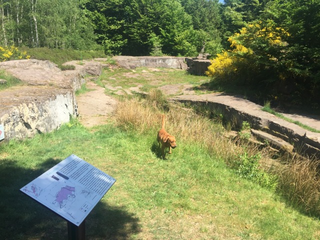 Day 47 – at&nbsp;Saint-Quirin