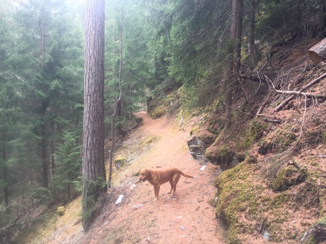 Day 33 – to&nbsp;Klöntal