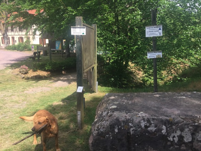 Day 51 – at&nbsp;Hinsbourg