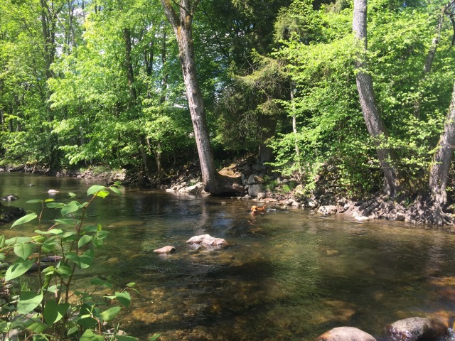 Day 39 – to Masevaux,&nbsp;Vosges