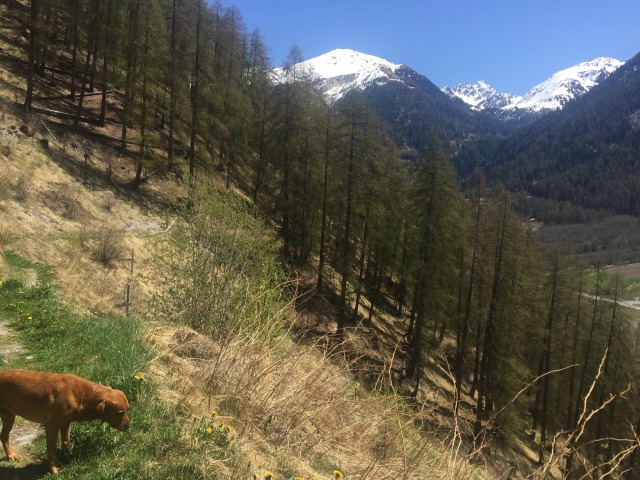 Day 32 – at Santa Maria,&nbsp;Switzerland