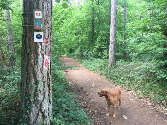 Day 53 – at&nbsp;Treignes