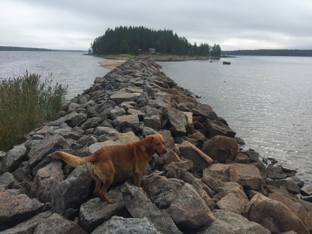 Day 26 – at&nbsp;Rörbäcks