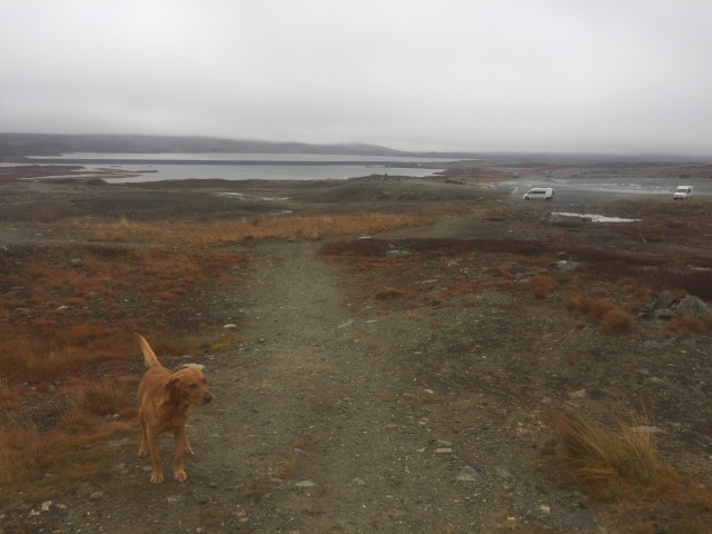 Day 65 – to Lierne National Park&nbsp;(entrance)